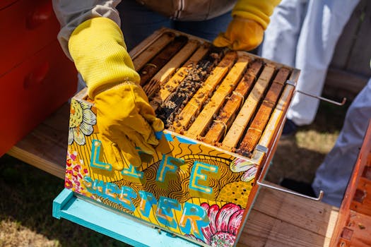 urban farm showcasing sustainable practices